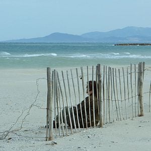 Foto L'Adieu à la nuit