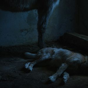 Foto Estaba en casa, pero...