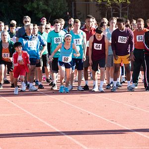 Foto Recién llegados