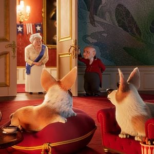 Foto Corgi, las mascotas de la reina