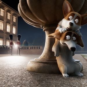 Foto Corgi, las mascotas de la reina