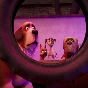 Foto Corgi, las mascotas de la reina