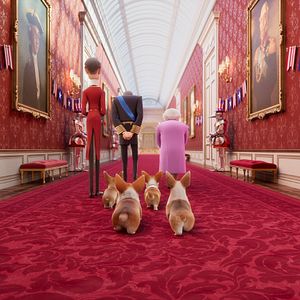 Foto Corgi, las mascotas de la reina