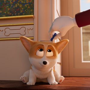 Foto Corgi, las mascotas de la reina