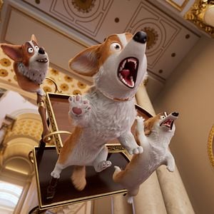 Foto Corgi, las mascotas de la reina