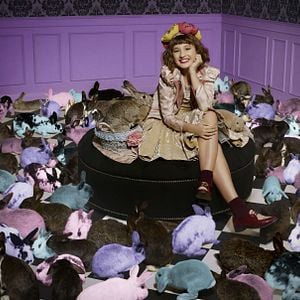 Foto Heidi, bienvenida a casa