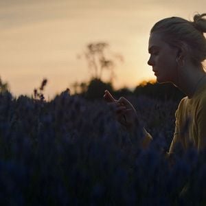 Foto Alcanzando tu sueño