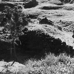 Foto Cuando fuimos brujas