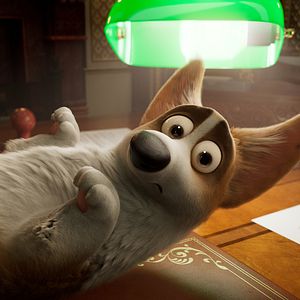 Foto Corgi, las mascotas de la reina