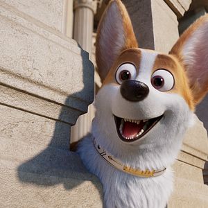 Foto Corgi, las mascotas de la reina