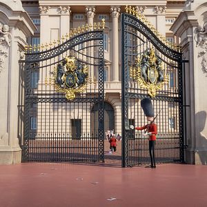 Foto Corgi, las mascotas de la reina