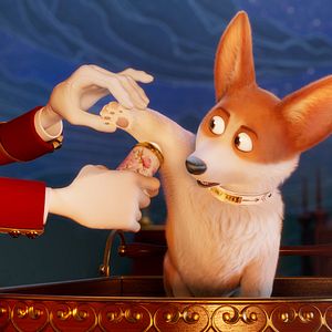 Foto Corgi, las mascotas de la reina