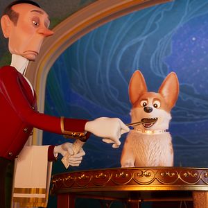 Foto Corgi, las mascotas de la reina