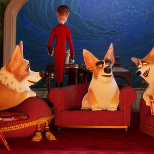 Foto Corgi, las mascotas de la reina