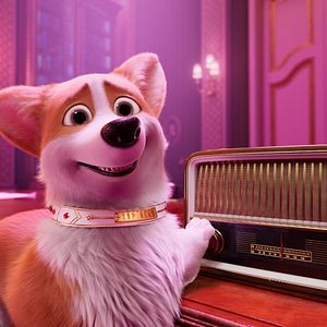 Foto Corgi, las mascotas de la reina