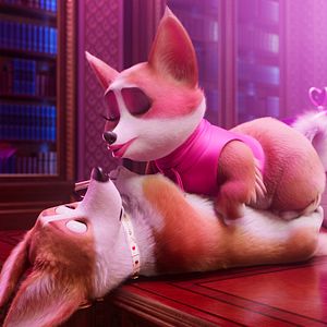 Foto Corgi, las mascotas de la reina