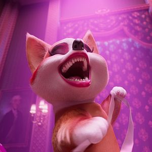 Foto Corgi, las mascotas de la reina