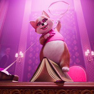 Foto Corgi, las mascotas de la reina