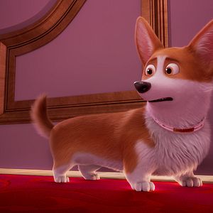 Foto Corgi, las mascotas de la reina