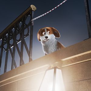 Foto Corgi, las mascotas de la reina