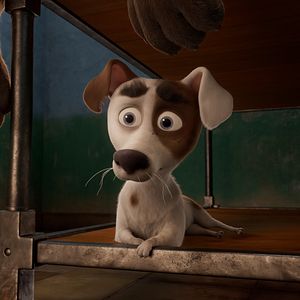 Foto Corgi, las mascotas de la reina