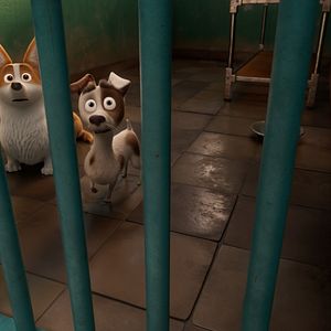 Foto Corgi, las mascotas de la reina