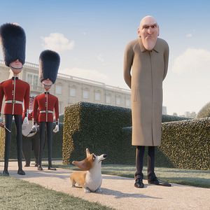 Foto Corgi, las mascotas de la reina