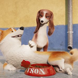 Foto Corgi, las mascotas de la reina