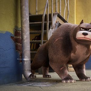 Foto Corgi, las mascotas de la reina