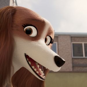 Foto Corgi, las mascotas de la reina