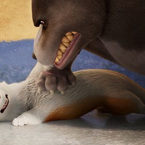 Foto Corgi, las mascotas de la reina