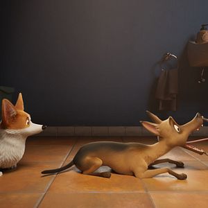 Foto Corgi, las mascotas de la reina