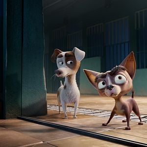Corgi, las mascotas de la reina - Película 2018