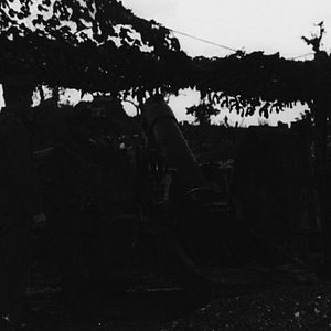 Foto Ellos no envejecerán