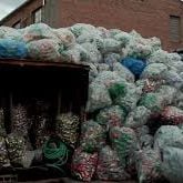 Foto El cuarto reino. El reino de los plásticos