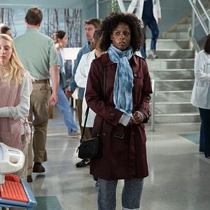 Foto Anatomía de Grey