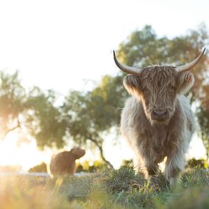 Foto Mi gran pequeña granja