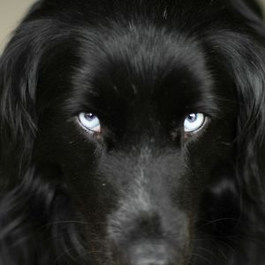 Foto Mi gran pequeña granja