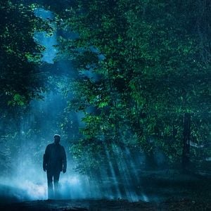 Foto Cementerio de animales
