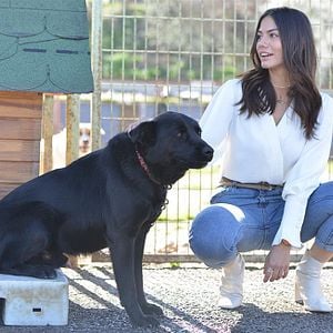 Foto Erkenci Kus (Pájaro soñador)