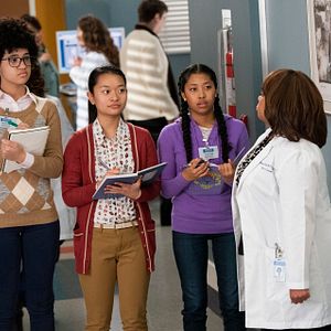 Foto Anatomía de Grey