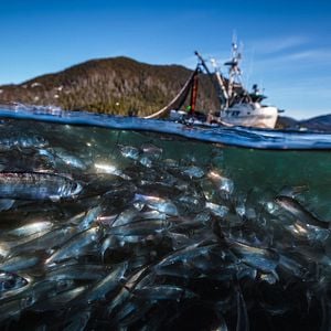 Foto Nuestro planeta