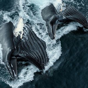 Foto Nuestro planeta