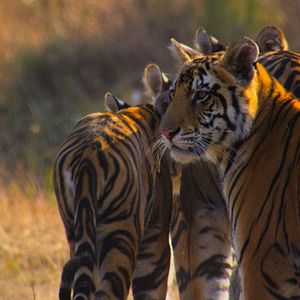 Foto Nuestro planeta