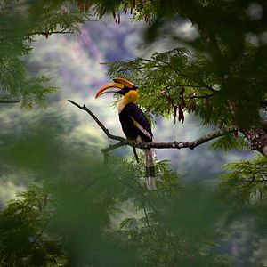 Foto Nuestro planeta