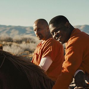 Foto Matthias Schoenaerts