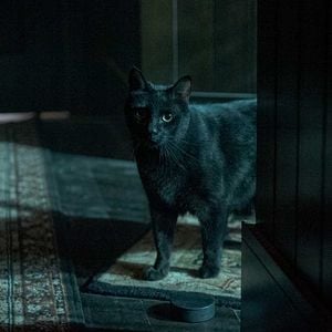 Foto Las escalofriantes aventuras de Sabrina