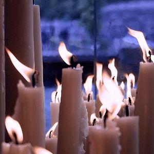 Foto Hospitalarios, las manos de la Virgen