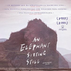 Foto An Elephant Sitting Still