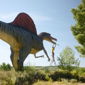 Foto Les Météorites